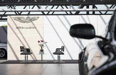 launge-kresla-silver-810s-aston-martin